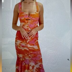 NWT mesh ruched dress